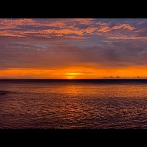 Meet your Posher, Odette